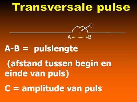Transverse pulses: Graad 10 Fisika