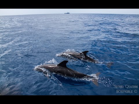 Tour 2 settimane Azzorre: Faial, Pico, Terceira, Sao Miguel