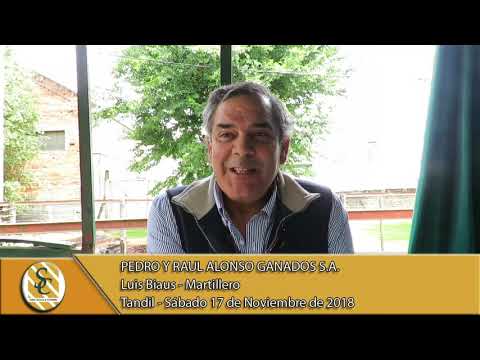 17-11-18 Nota Luis Biaus - Martillero - Pedro y Raúl Alonso Ganados S.A. - Tandil