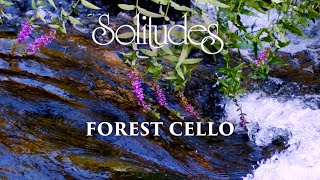 Dan Gibson’s Solitudes - Driftwood | Forest Cello