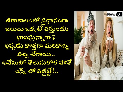 how to take care of health in winter in telugu