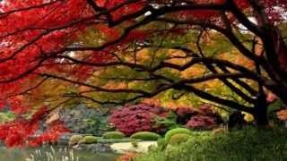 ROMANTIC MUSIC + Omar Akram   Finally Home