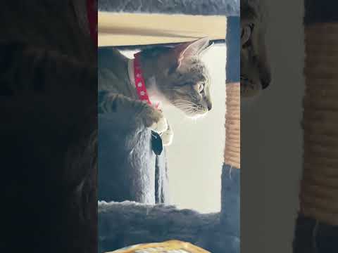 OZIEL VIENDO A NATURE TV