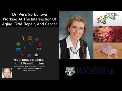 Dr. Vera Gorbunova - Working At The Intersection Of Aging, DNA Repair, And Cancer