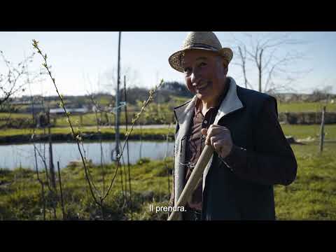 “Mon pichon país” #5 Lo biais d'empeutar d'aures