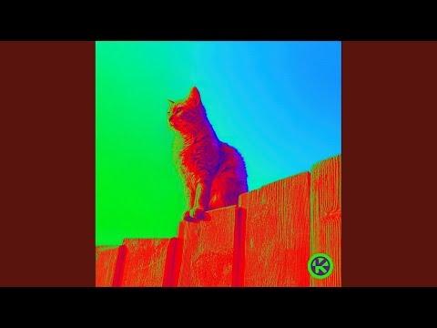 Curiosity (Extended Mix)