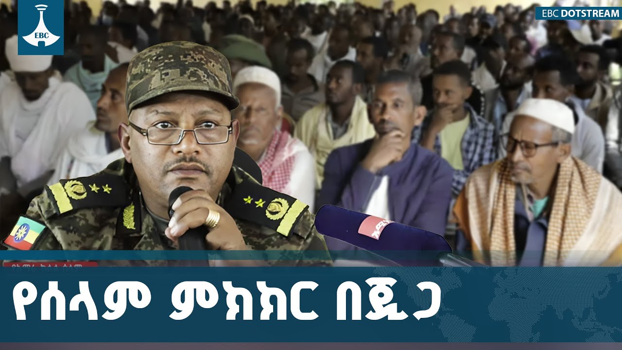 የታጠቁ ኃይሎች ወደ ሰላም እንዲመለሱ የበኩላቸውን ሚና እንደሚወጡ በምዕራብ ጎጃም ዞ?