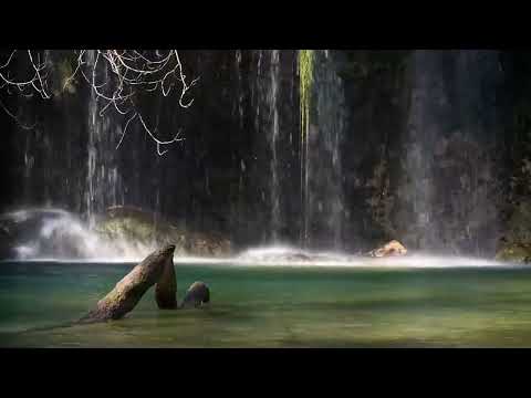 Peaceful Water Flow 🌿 Nature Sounds for Stress Relief 🌟 Experience ASMR Relaxation