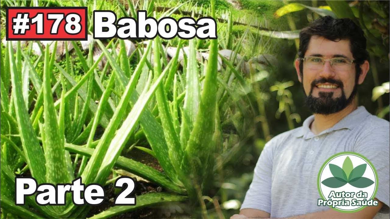 Autor da Própria Saúde  - Babosa parte #2 [gastrite, diabetes, câncer, cicatrização, hemorroidas]