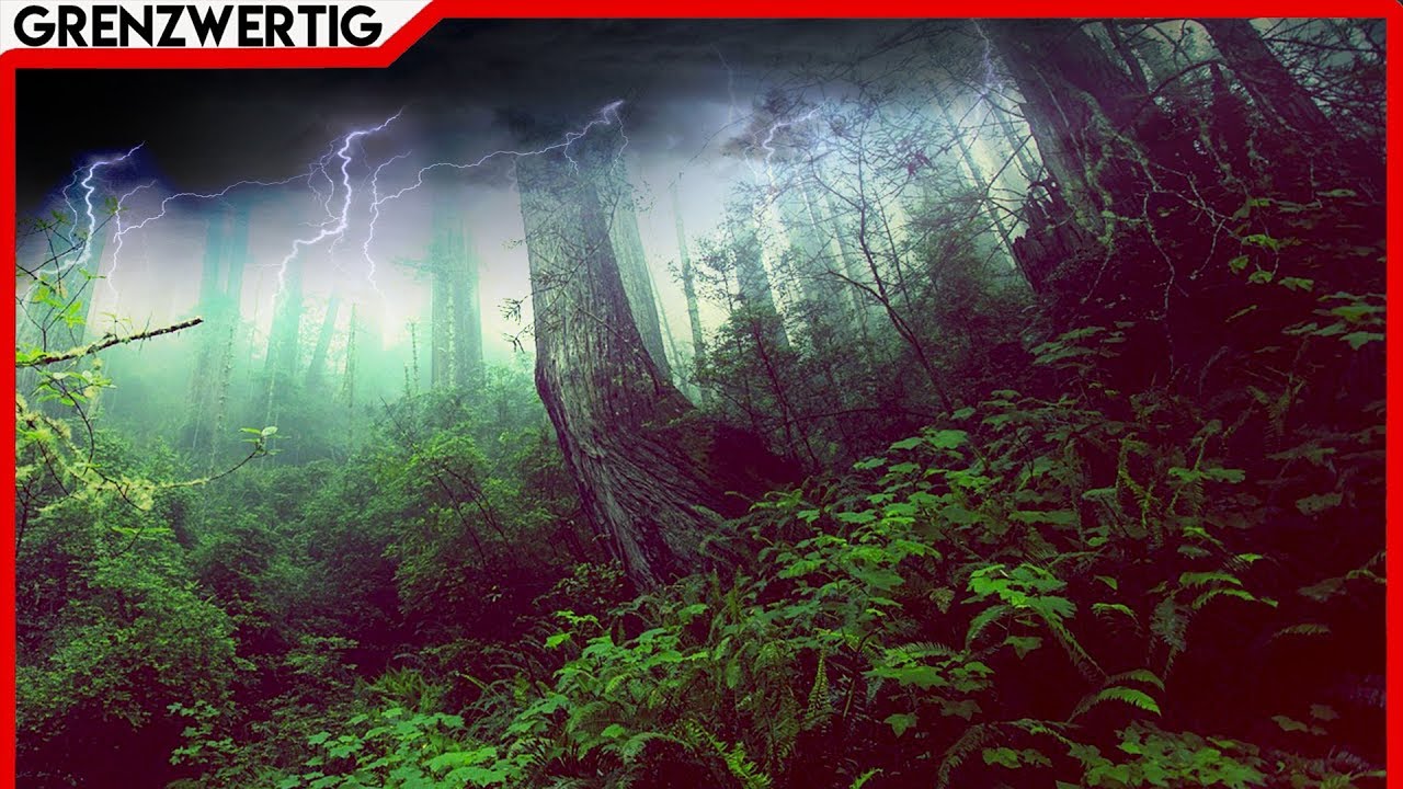 Die russische Taiga - Gab es Yetis?
