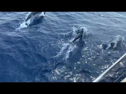 Summer 2020 in Greece on an Amel 54  Sailing Boat