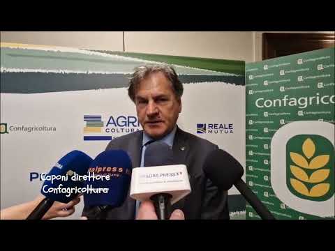 VI rapporto Agricoltura100: intervista a Roberto Caponi, direttore generale Confagricoltura