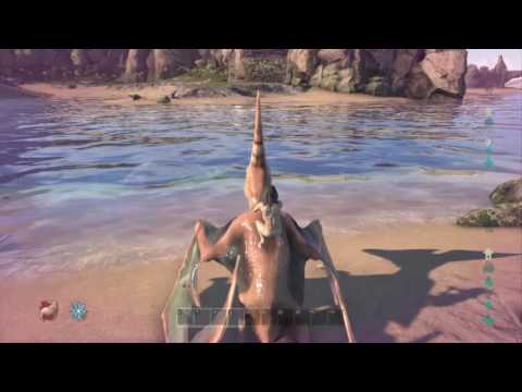 Ark survival the island primitive