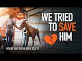 Horse Shelter Heroes | S2E17 | Full Episode