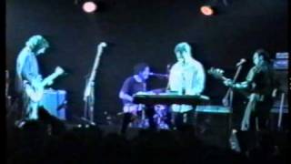 The Clean - Tally Ho (live)