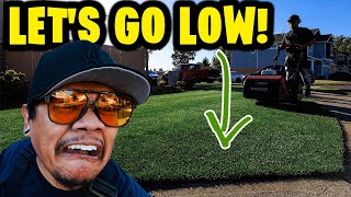 Grass is Grassing let’s go low!