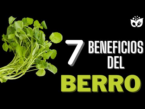 Descubre los 7 Asombrosos BENEFICIOS del BERRO para tu Salud y Bienestar 🌱