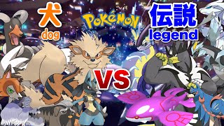 Dog VS Legendary Pokémon‼︎ 可愛らしい犬パで伝説使いとマッチした結果！【ポケモンSV】
