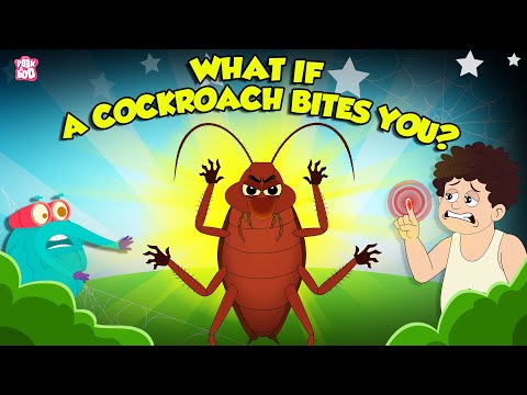 Are Cockroaches Dangerous? | What if a Cockroach Bites You? | Deadliest Insects | Dr. Binocs Show
