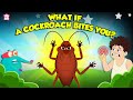 Are Cockroaches Dangerous What If A Cockroach Bites You Deadliest Insects Dr Binocs Show