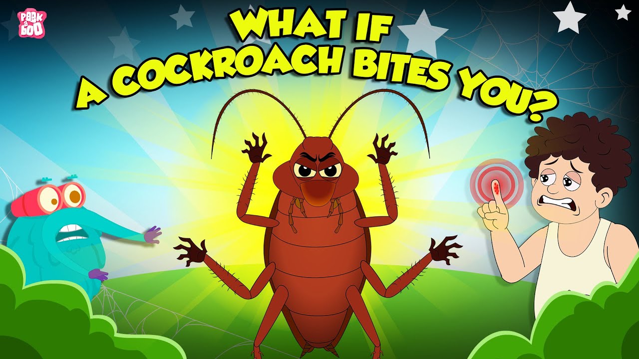 Are Cockroaches Dangerous? | What if a Cockroach Bites You? | Deadliest Insects | Dr. Binocs Show