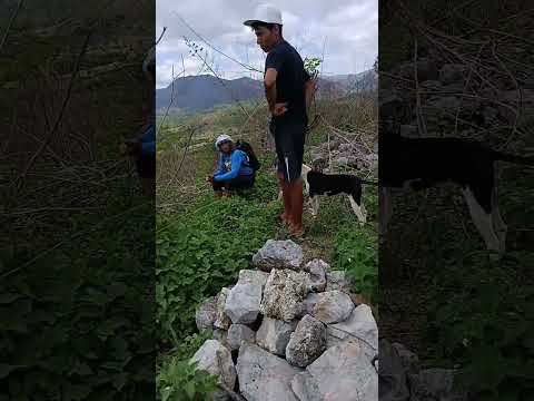 Lo prometido es deuda haciendo cumbre en el cerro de la gruta san Sebastián de los reyes sur Aragua