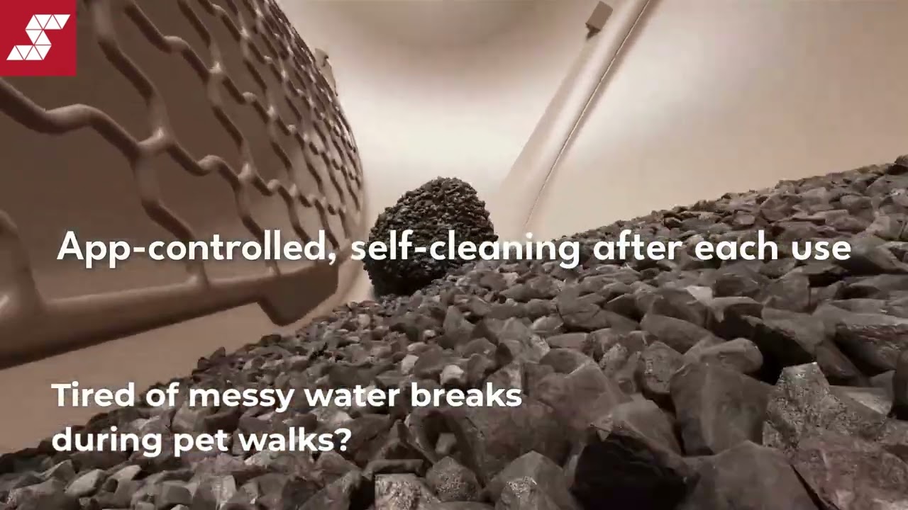 A Fresh Start to Your Morning Routine Video Thumbnail