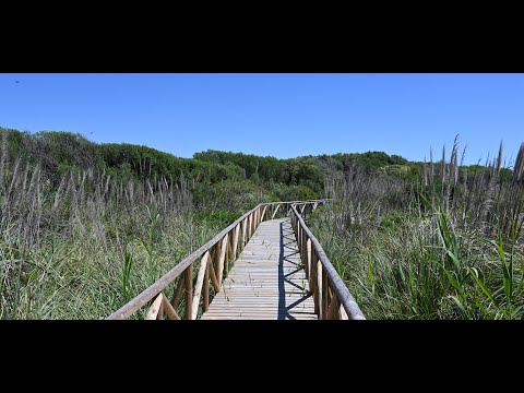 SOTOGRANDE - sotogrande hidden gems  - (bmsotogrande)