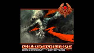 Phutureprimitive - Searching Beauty in the Darkest Places - Dusted Compass (Remix)