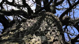 F.A.M SECRETS LYRIC VIDEO