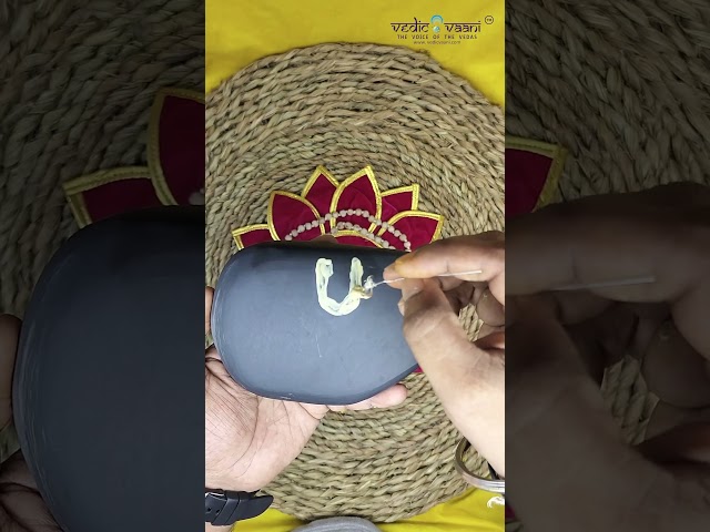 Natural Stone Saligram Representation of Vishnu Bhagwan Shila video