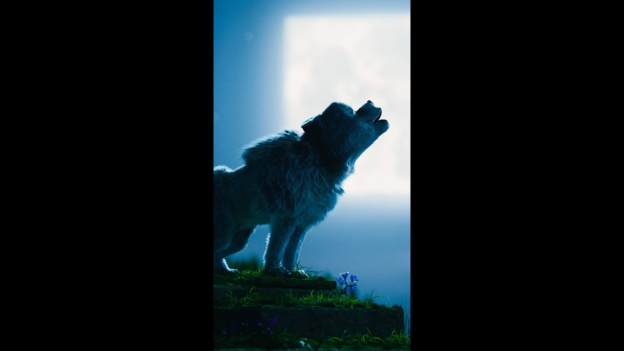Teaser