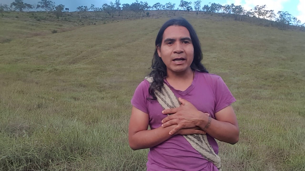 ritual de el cabello que queda en el peine