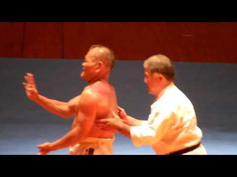 Sensei Kazuo Terauchi,  kata Sanchin.