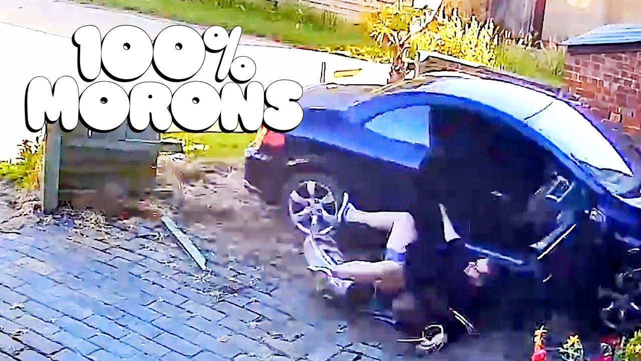 Funny Fails You May Have Missed | Idiots of the Month