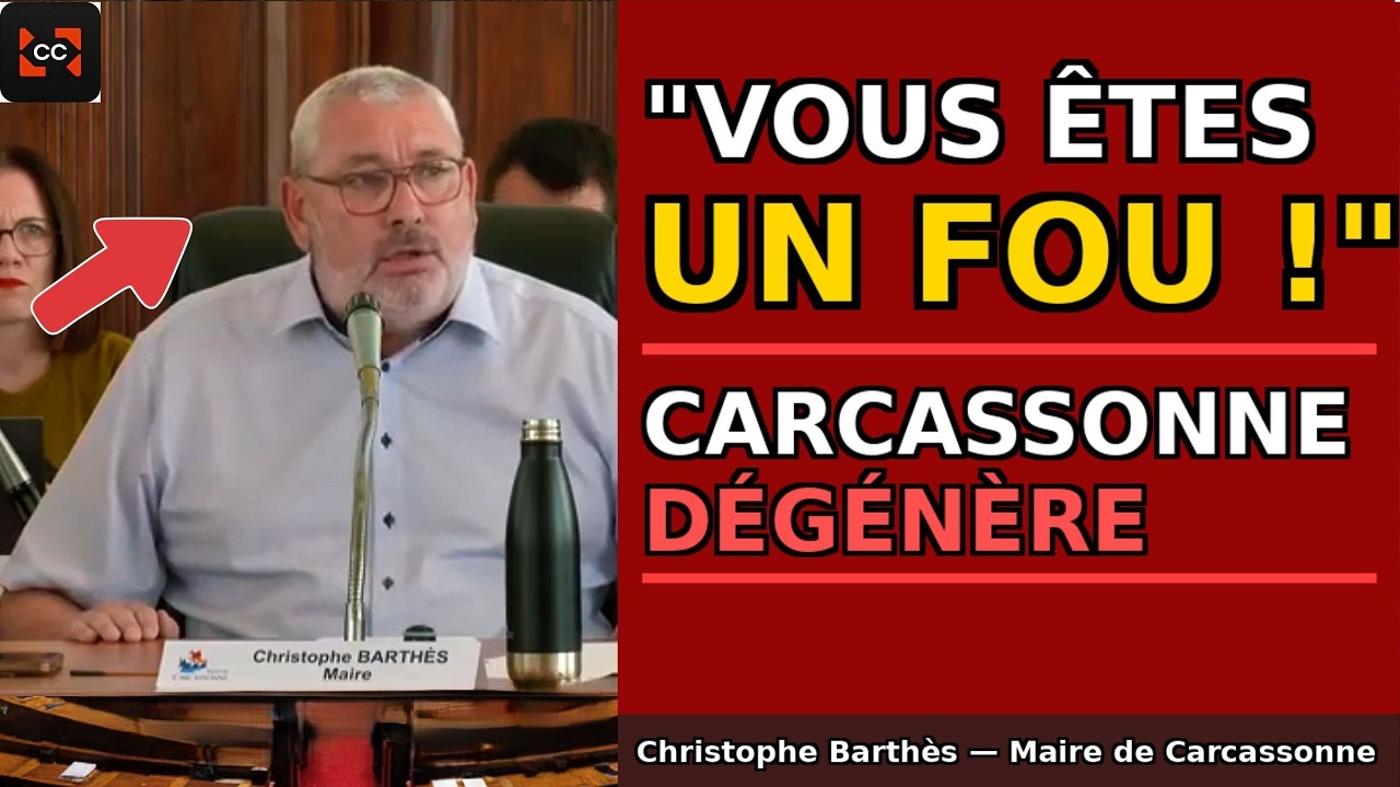 Illustration: Carcassonne : l'insulte qui a fait vaciller le conseil municipal