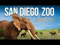 San Diego Zoo Guide FULL TOUR Animals Tour Shows And More