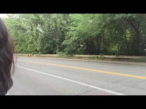 When I traveled in the suburb of Boston in Sep, 2016