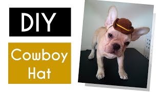 DIY Cowboy Hat | Easy Dog Hat Crochet Tutorial | Rainbowww DIY
