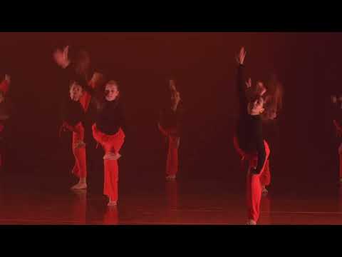 DANSVLOER 2025 - Lemmens Instituut