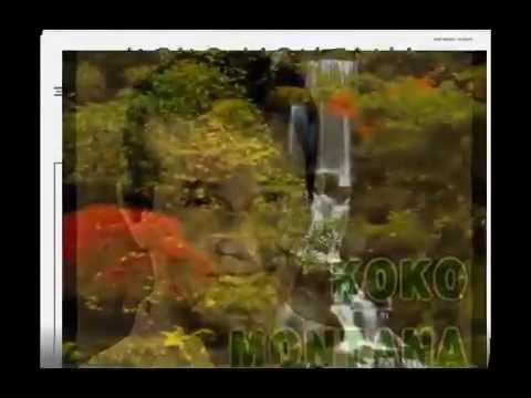 KOKO MONTANA. Beatriz