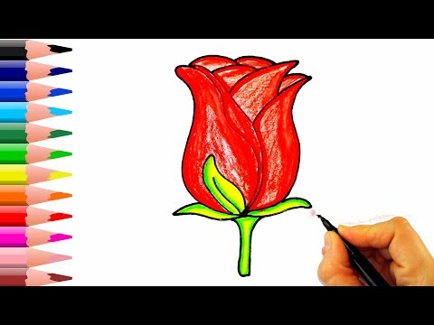 Cizimi Rose Novyj Trend Smotret Onlajn Na Sajte Trendovi Ru