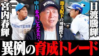 【異例トレードの真相】中日・日渡騰輝と日本ハム・宮内春輝の育成選手同士の交換トレード『日本ハムはトレードが本当に上手い』仕掛けたのは中日…でも出す選手を間違えている!?両チームの思惑は…?
