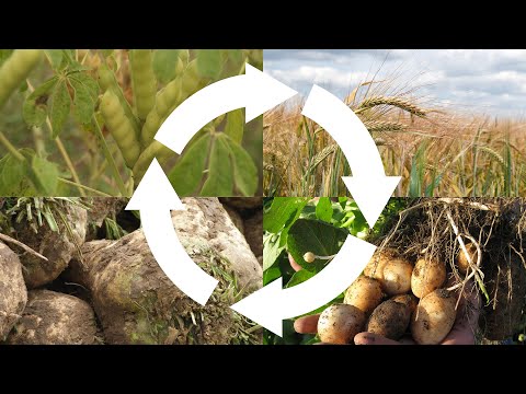 Best4Soil: Crop rotation – Practical Information