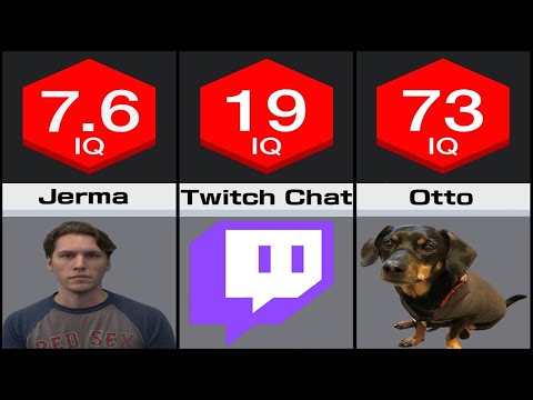 Jerma -200IQ