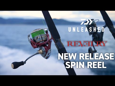 Daiwa Unleashed: Revelry MQ