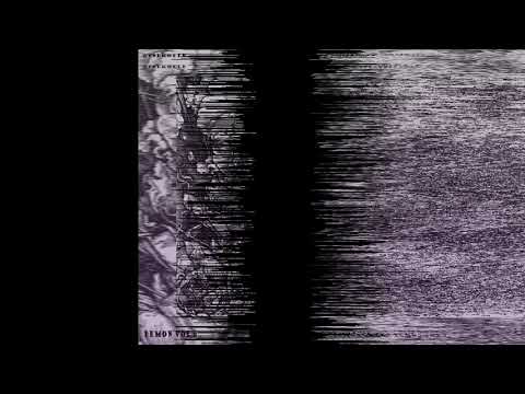 [FREE] DEMON LOOP KIT vol. 6 (Dark, 4PF, 808 Mafia, Pyrex Whippa, Southside, Cubeatz, Moneybagg Yo).