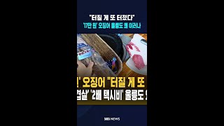 "터질 게 또 터졌다"..'17만 원' 마른오징어 울릉도 왜 이러나 #shorts