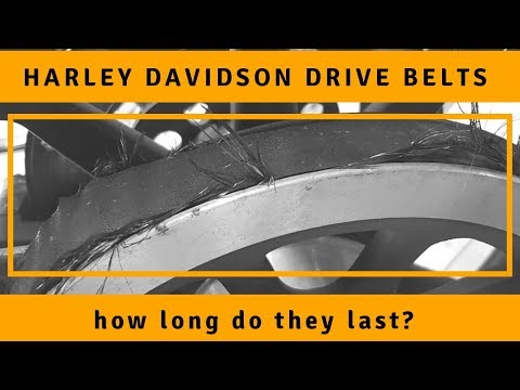 How Long Does a Harley Davidson Drive Belt Last?