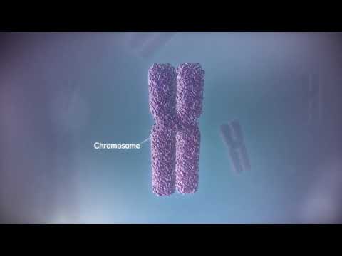 El Dogma Central de la Biología: ADN, ARN y Proteínas.